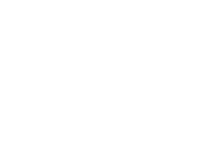 AI-free Zone